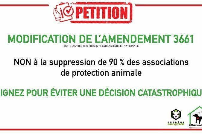 Lutte contre la maltraitance animale