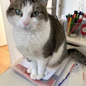 Molly_005