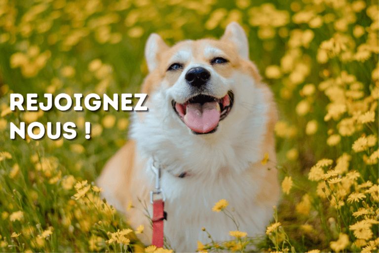 rejoignez-nous !