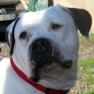 465866185_10231691349894407_7839776423117318940_n